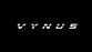 VYNUS Active Wear - Home